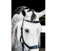 Horseware Micklem 2 Multi Bridle La bride "tout en un" Full