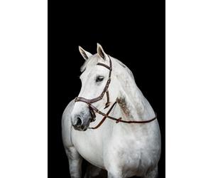 Horseware Micklem 2 Multi Bridle La bride "tout en un" Full