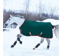 Horseware Rambo Original Turnout Heavy 400g - Vert/rouge, 160