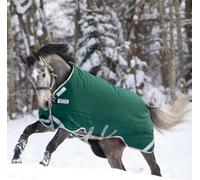 Horseware Rambo Original with Leg Arches Turnout Heavy 400g - Green/Silver, 155