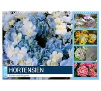 Hortensias Fleurir et mourir, Version française (Calendrier mural 2026 DIN A3 portrait), Calendrier CALVENDO mensuel