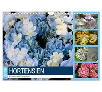 Hortensias Fleurir et mourir, Version française (Calendrier mural 2026 DIN A4 portrait), Calendrier CALVENDO mensuel