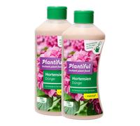 Hortensias Manna Plantiful,