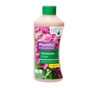 Hortensias Manna Plantiful,