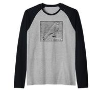 Horus Falcon Dieu égyptien archéologie égyptologie Antique Manche Raglan