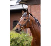 HORZE Bridon pour cheval CHIO
