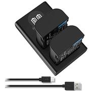 HOSAN DMW-BLF19 DMW-BLF19E Batterie de Rechange 2000mAh Compatible pour Lumix DMC-GH3 DMC-GH3A DMC-GH3H DMC-GH4 DMC-GH4H DC-GH5 DC-GH5S DC-G9