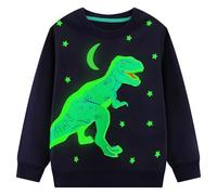 Hoseay Sweatshirts pour Garçons Enfant Dinosaure Animaux Imprimé Coton Pull Col Rond Manches Longues T-Shirts Jumper Décontracté Enfants Sweat-Shirt Halloween Vetements 5-6 Ans, Bleu Marine