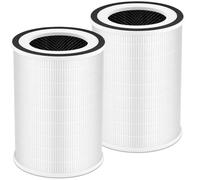 HOSECES KILO True HEPA H13 Lot de 2 filtres de rechange pour purificateur d'air Russell Hobbs RHAP2001B (G)