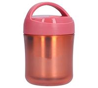HOSEONFN Bocage de nourriture isolée pour soupe, 500 ml 304 en acier inoxydable, étanche en silicone, conserver la boîte à lunch chaude (Rouge)