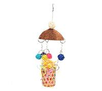 HOSEONFN Jouet pour Oiseaux, Coquille de Noix de Coco Suspendue, Boule de Vigne colorée pour perroquets de Petite et Moyenne Taille