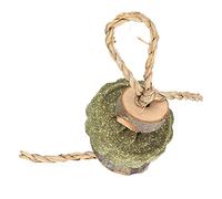 HOSEONFN pour Les Jouets à mâcher de Lapin, pour Les bâtons de Bois de Pomme, Les gâteaux en Herbe, Les Jouets molaires sûrs pour Le broyage des Dents, la santé des Petits Animaux