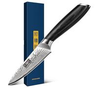 HOSHANHO Couteau d'Office 10 cm, Petit Couteau de Cuisine Forgé en Acier à Poudre au Carbone, Couteau à Fruits Japonais Ultra-Tranchant avec Manche Ergonomique en Bois de Pakka