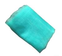 Hosrivae Bâche épaisse pour plantes de jardin avec cordon de serrage pour protection contre le gel en polyéthylène résistant aux UV 240 x 240 cm ou 300 x 300 cm Vert - pour verger, légumes, fleurs