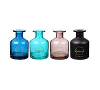HOSSIAN Bouteilles de diffuseur en verre de 5 oz liq. - Bouteilles de diffuseur de vitesse - Bouteilles de diffuseur en bâtonnets de fibre (4X3.9 pouces)