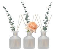 HOSSIAN Diffuseur de Roseau - 3 flacons vides avec 28 bâtons de Roseau - Flacons de Diffusion Rechargeables (Verre dépoli)