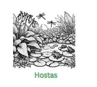 Hostas: Beautiful Perennials That Leave You Wanting Even More Hostas. (Plants)