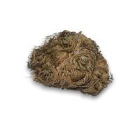 HOSTENATURA Rose de Jéricho Plante de la Fortune et de la Prospérité