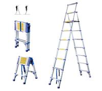 HOSTROM Escabeau 9 marches telescopique EXTENDACT9, Echelle telescopique 2,6m+2,3m, escabeau Pliable télescopique, H Max Travail 4,1m, Garantie 5 Ans