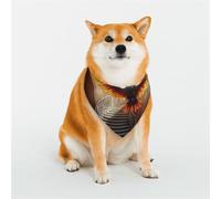 Hot Bird Transformation Illustration Écharpe pour animal domestique Écharpe triangulaire élégante Accessoire pour animal domestique, lavable pour fille, garçon, chien ou chat, taille L