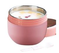 Hot Food Jar - Tasse à soupe isotherme anti-fuite en acier inoxydable de 600 ml avec double couche, photos de mousse à soupe réutilisables pour employés de bureau et étudiants