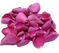 Hot Pink Rose Petals - 20Ltr/200g
