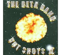 Hot Shots II