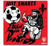 Hot Snakes - Audit in Progress