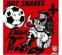 Hot Snakes - Audit in Progress