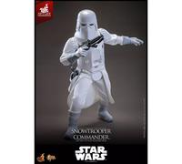 Figurine Hot Toys Mms835 - Star Wars : The Empire Strikes Back - Snowtrooper Commander