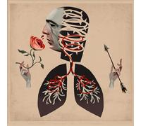 Hot Water Music - Vows LP [Vinyl]