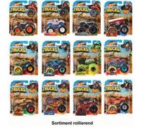 Hot Wheels Monster Trucks 1:64 Die-Cast assortiment