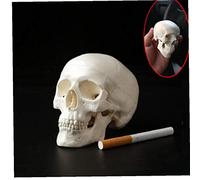 Hotaden 1pc Mini Crâne Humain Anatomie Anatomique Modèle médical Pratique 92 * 99 * 71mm