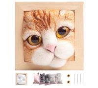 Hotainoys Kits de feutrage à l'aiguille, Fournitures de feutrage à l'aiguille Bricolage, kit démarrage avec modèle Chat, Tapis en Mousse, kit Tricot pour débutants Style 3 Fournitures