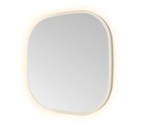 Hotbath &MORE Miroir dans un cadre en aluminium / contour incl LED indirect. changement de couleur. dimmable. sans points. avec télécommande IX Inox 316 CON40IX