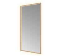 Hotbath &MORE Miroir éclairage LED direct et indirect color changing chauffage de miroir avec télécommande Laiton brossé PVD SQU510BCP