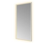 Hotbath &MORE Miroir éclairage LED direct et indirect color changing chauffage de miroir avec télécommande Inox 316 SQU510IX