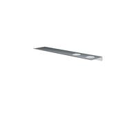 Hotbath &MORE Tablette - 60cm - y compris rails de fixation - 2 découpes - pour distributeur de savon ou gobelet - Inox 316 SH060H2IX