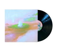 Hotel Fiction Staring at the Sun (Deluxe Edition) (Vinyl)