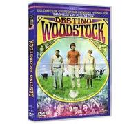 Hôtel Woodstock (Taking Woodstock) G