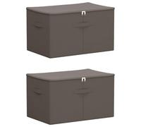 Hothingwell Boîte de Rangement 2 pc 55 x 35 x 32 cm 61,6 L Tissu Non tissé | 100 % polyester, tissu non tissé respirant, design pliable, poignées à bec, 2 compartiments, 61,6 L, chambre, salon