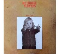 HOTHOUSE FLOWERS - DON'T GO - 12 inch vinyl