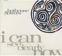 Hothouse Flowers - I Can See Clearly Now (1990) [Import]