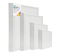 HOTOOLME Lot de 12 toiles à peindre, cadre de 13 x 18 cm, 18 x 24 cm, 24 x 30 cm, 30 x 40 cm, 3 couches pré-apprêtées, 100 % coton pour peinture acrylique et à l'huile