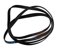 Hotpoint Indesit Courroie pour sèche-linge Contitech 144002145 6Phe 1991 (1 unité)