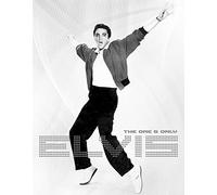 hotrodspirit - plaque elvis presley les bras en l'air 41x32 cm tole USA