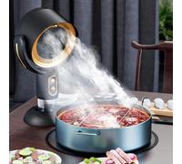 Hotte de cuisine portable, 2 vitesses réglables, ventilateur extracteur de fumée sans fil rechargeable par USB pour cuisine intérieure et extérieure, camping-car, hot pot, barbecue (noir doré)