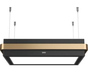 Hotte décorative îlot FRANKE 463231