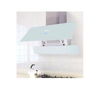 VidaXL 242721 hotte Montée au mur Argent 720 m³/h