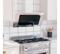 Hotte Murale 60 cm Acier Inoxydable et Verre Trempé Noir Aspirante vidaXL